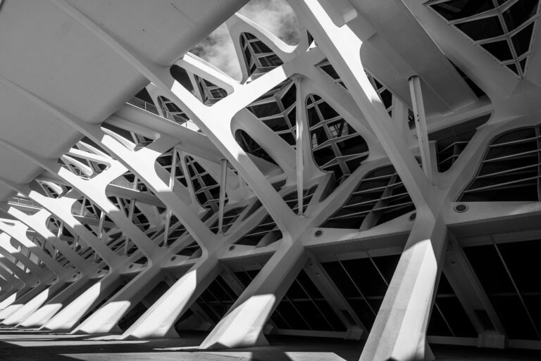 Dramatic angles of Valencia's futuristic architectural structure in black and white.
