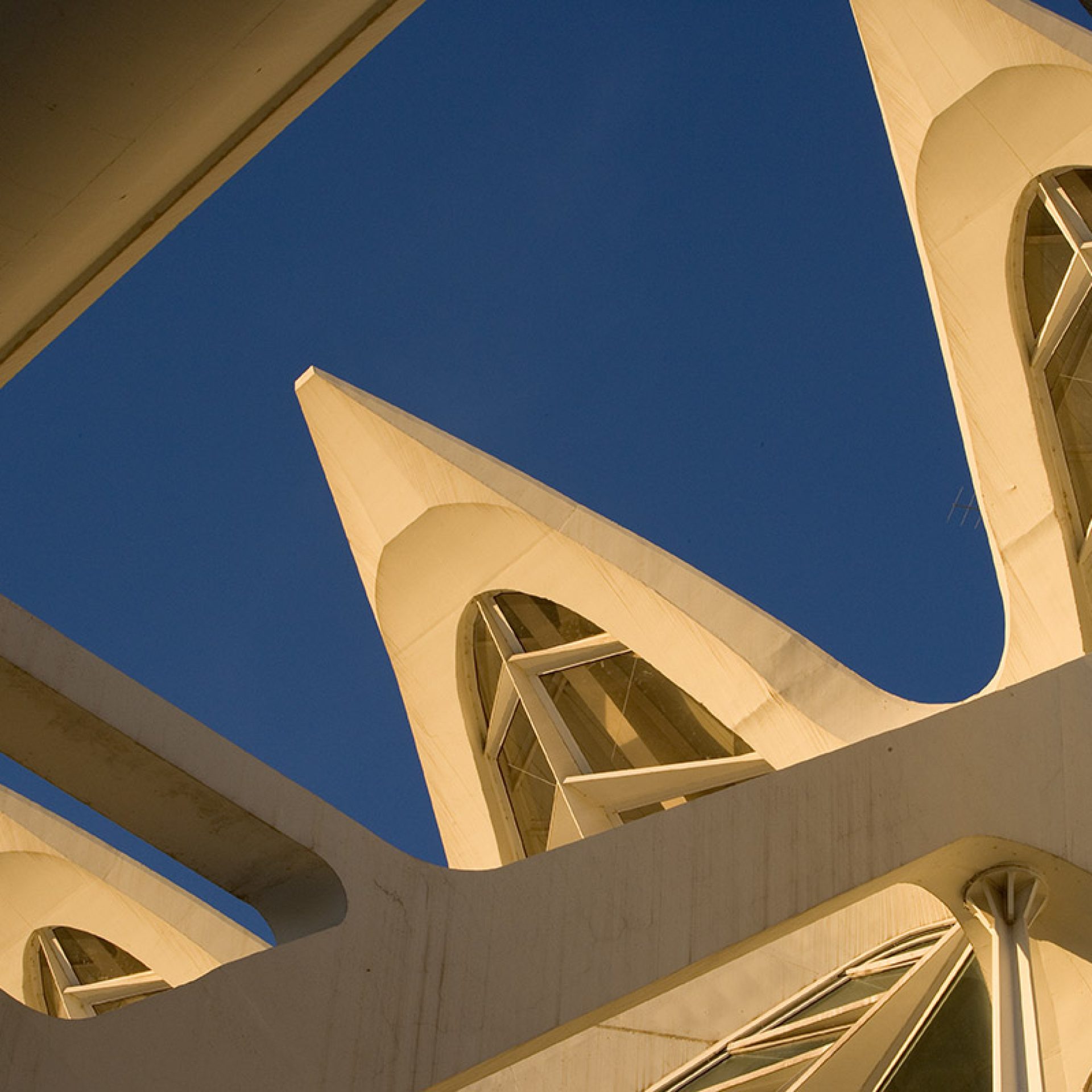 Museo de Las Ciencias Príncipe Felipe.Ciudad de Las Artes y Las