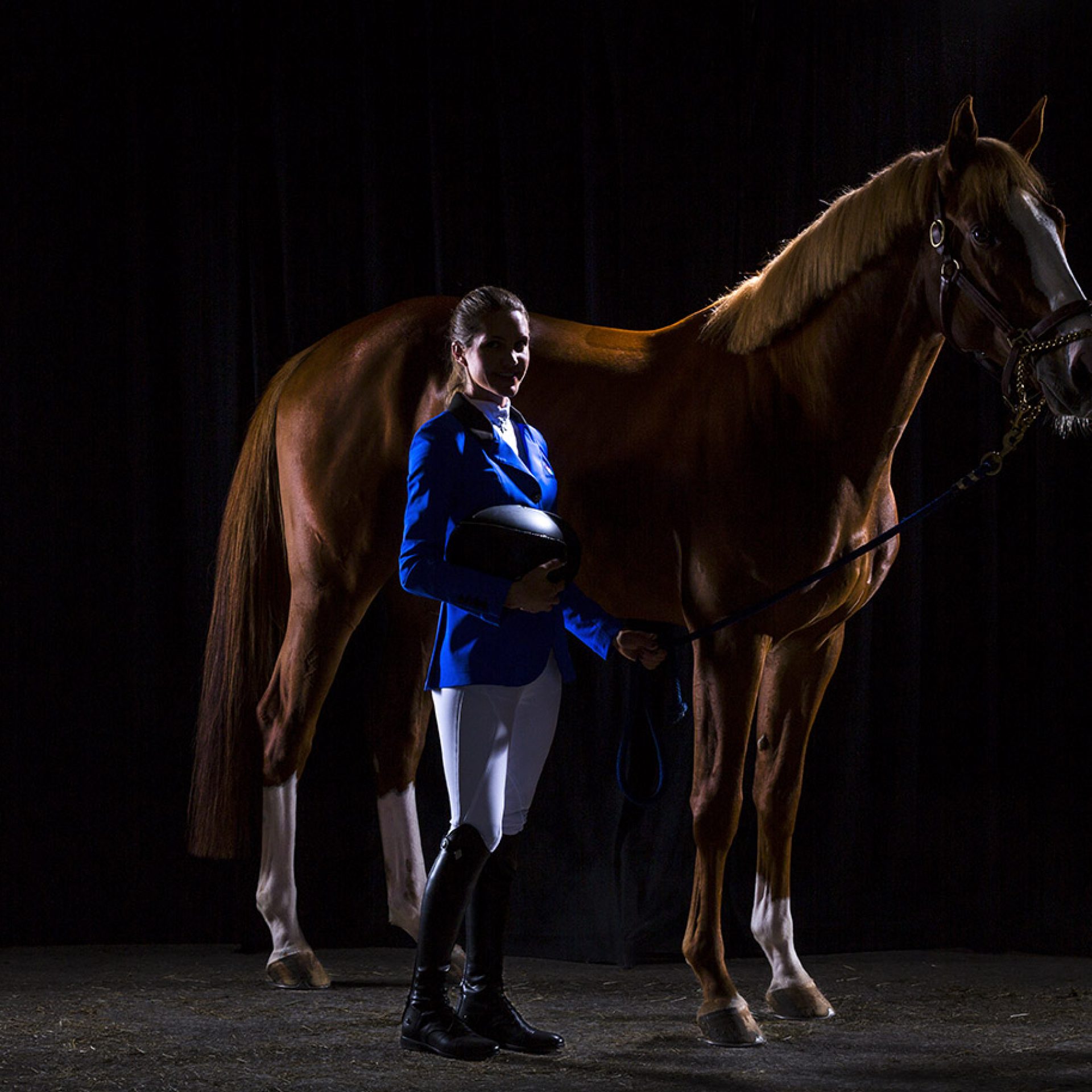 caballo-foto-estudio (2)